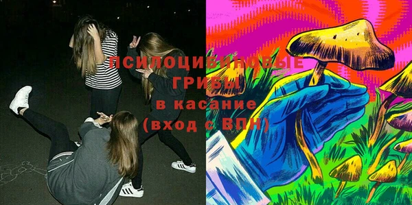 прущая мука Абаза