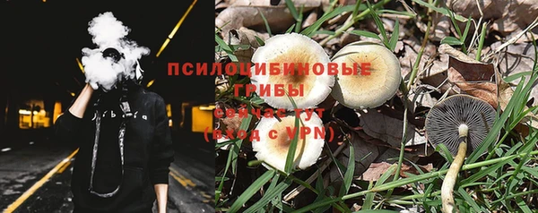 прущая мука Абаза