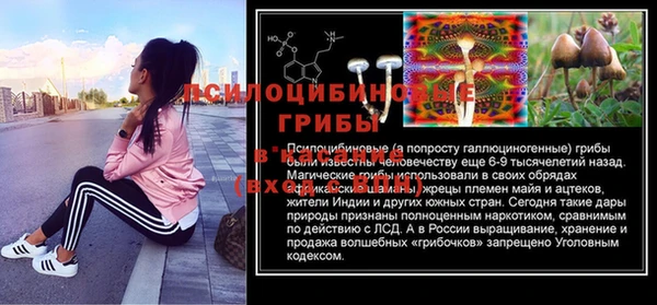 каннабис Алексеевка