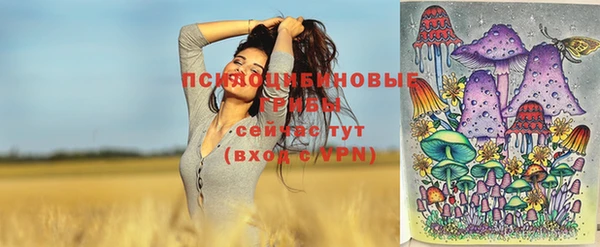 прущая мука Абаза