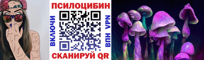 это какой сайт  наркота  Алагир  Псилоцибиновые грибы мухоморы 