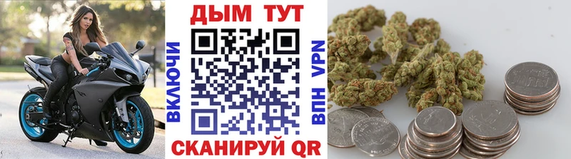 kraken ССЫЛКА  Алагир  Конопля SATIVA & INDICA 